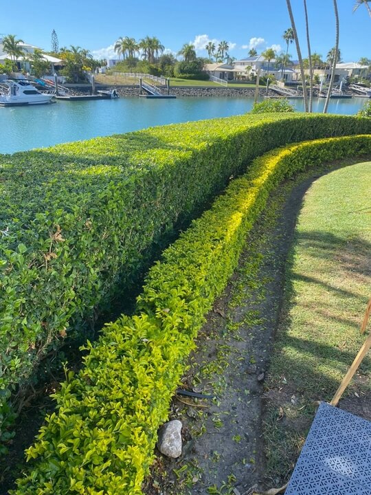 Garden Lawn Maintenance Brisbane 002
