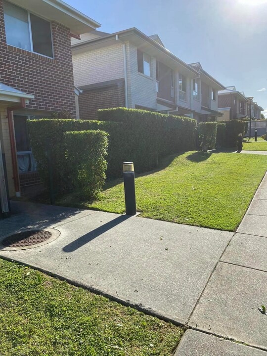 Garden Lawn Maintenance Brisbane 006