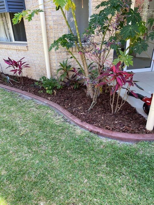 Garden Lawn Maintenance Brisbane 008