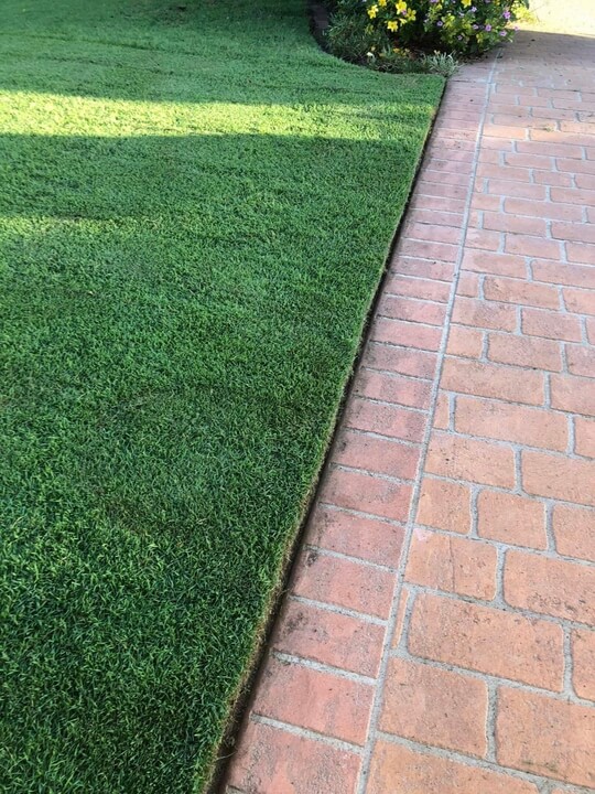 Garden Lawn Maintenance Brisbane 015