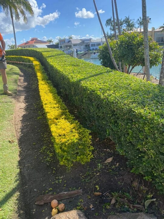 Garden Lawn Maintenance Brisbane 019