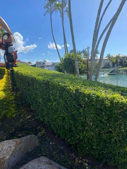 Garden Lawn Maintenance Brisbane 020