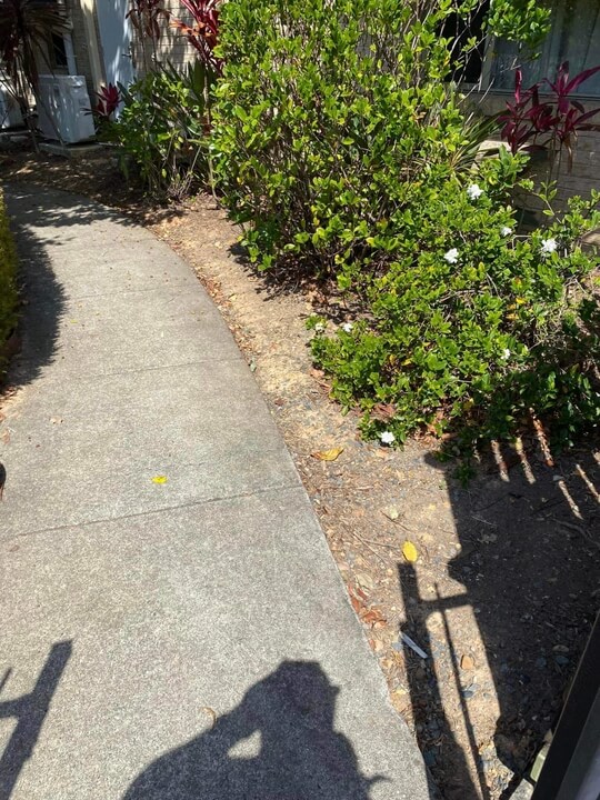 Garden Lawn Maintenance Brisbane 022