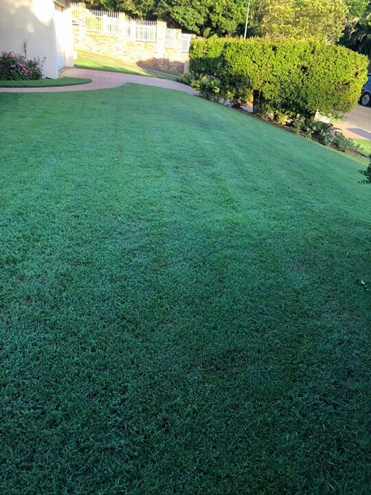 Garden Lawn Maintenance Brisbane 023
