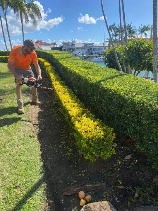Garden Lawn Maintenance Brisbane 025