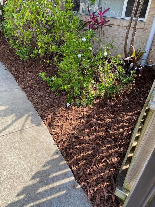 Garden Lawn Maintenance Brisbane 027