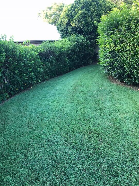 Garden Lawn Maintenance Brisbane 037