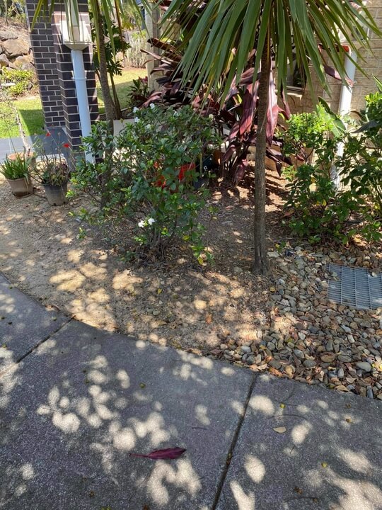 Garden Lawn Maintenance Brisbane 040